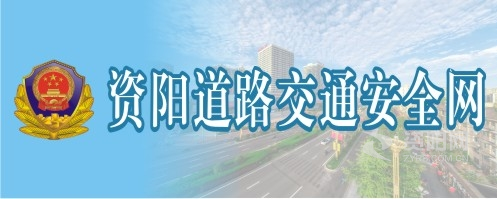 美美扒B资阳道路交通安全网