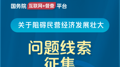 啊啊啊,快舔我,要高潮了视频国务院“互联网+督查”平台公开征集阻碍民营经济发展壮大问题线索